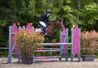 Pony B do sportu