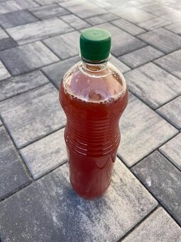 Jablečný mošt čerstvý