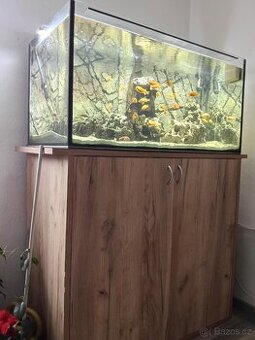 Tlamovci 3 druhy -končím