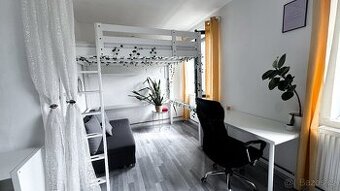 Krásný byt 1+1 po rekonstrukci Nový Bor