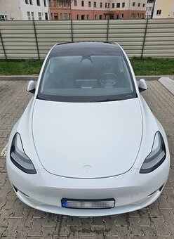 Tesla Model Y Performance