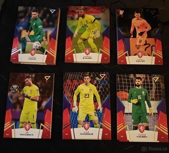 Fotbalové kartičky Hrdí Lvi 2024