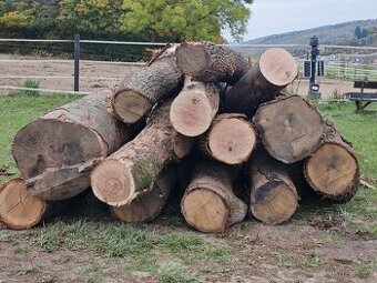 Palivové dřevo Ochoz u brna