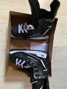 LEDNÍ BRUSLE ARCORE