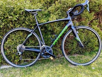 Karbonové silniční kolo Specialized Roubaix