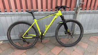 Scott scale 980