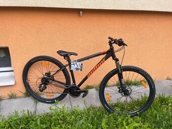 Author Rival 29