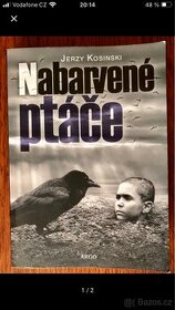 Kniha Nabarvené ptáče - 1