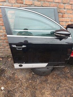 Passat b7 dyli