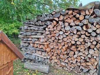 Palivové dřevo