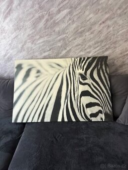 Obraz 78x118