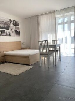 Pronájem vybaveného 1+kk s klimatizací a terasou u Campusu