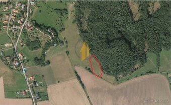 Prodej zemědělské pozemku o CP 3562 m2 v obci Prachov