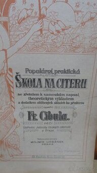 Škola hry na citeru