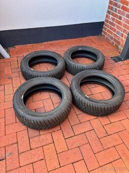 Barum Polaris 5 195/55 R 16 XL 91 H zimní