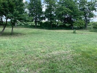 PRODÁM volnočasový pozemek 8.000 m2, Tuřice