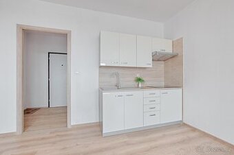 Pronájem družstevní garsoniery/33m2 - ul. Adamusova, Orlová 