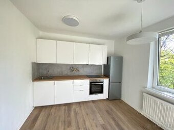 Pronájem bytu 3+1 Malá Morava