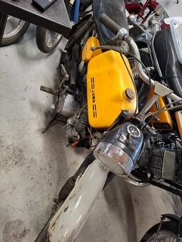 Jawa mustang
