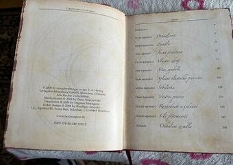 Tajemství přitažlivosti srdce - 1