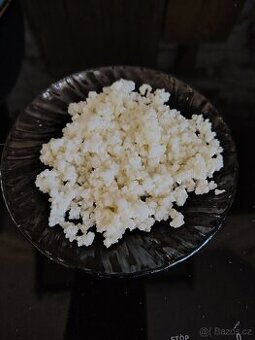 TIBETSKÁ HOUBA