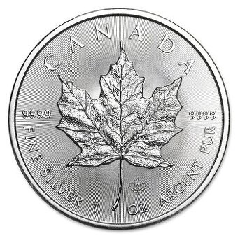 Prodám stříbro investiční stříbrné mince Maple Leaf - 1