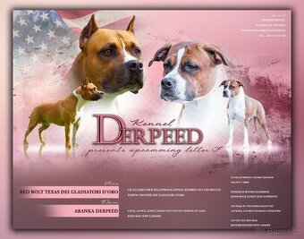 Americký stafordšírský teriér s PP