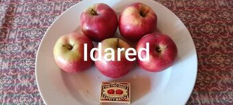 Prodám česaná jablka Idared BIO bez postřiků