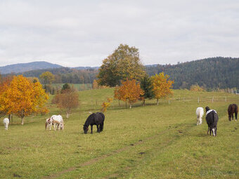 venkovní ustájení mezi Libercem a Jabloncem n.N.