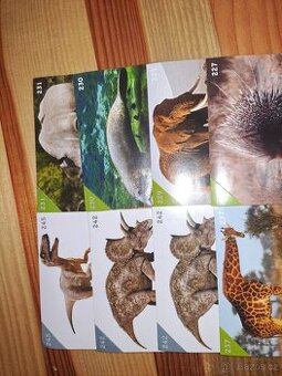 Animal kingdom - obrazky