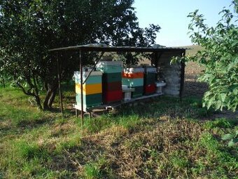 Prodej včelstev i železných stojanů