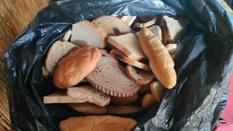 Krmné pečivo , rohlíky, housky, chleba.