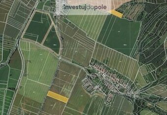 Prodej podílu 1/8 pole 2 276 m², Bezděčí u Trnávky