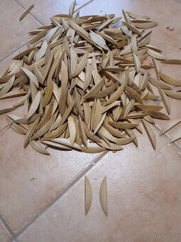 Opravné akátové lodičky pro opravy dřeva, 444 ks