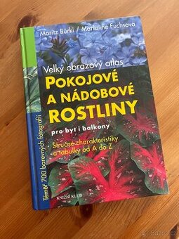 Pokojové a nádobove rostliny - velký obrazový atlas