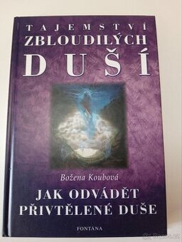 Tajemství zbloudilých duší - Božena Koubová