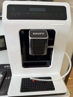 Krups Evidence