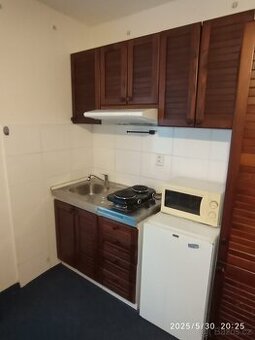 BEZ PROVIZE RK. Pronajmu 1kk 25 Praha Vršovice