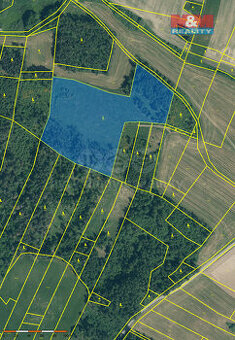 Prodej lesa, 19057 m², Malý Bor