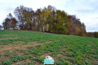 Prodej podílu 49/100 ostatní pozemky, 11 599 m2 - Stráž pod 