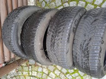 225/55 R17 zimní