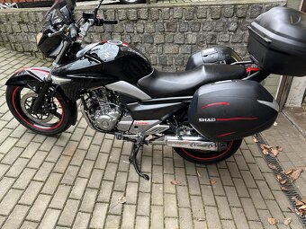 Suzuki Inazuma GW 250 TOP