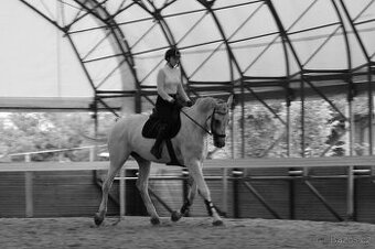 Pronájem 15 leteho valáška