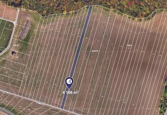 Prodej pole v k.ú. Žebětín, ev.č. 2025-12-05-092229