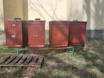 Prodám 2 přezimované včelstva