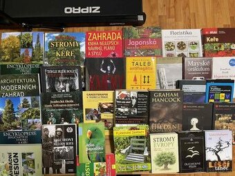 supervize,Morální dilema,listnaté stromy,Kmeny,Duchovní píse