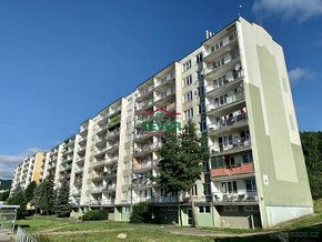 Prodej, byt 4+1, DV, Litvínov - Janov, ul. Hamerská - 1