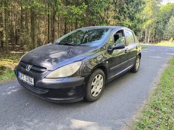 Peugeot 307 2,0 benzín 100 kW 2003