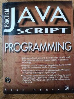 JavaScript Programming, Practical.