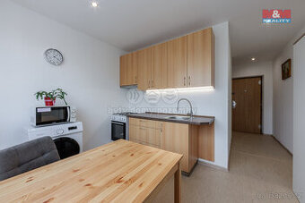 Prodej bytu 1+1, 40 m², Chodov, ul. Luční